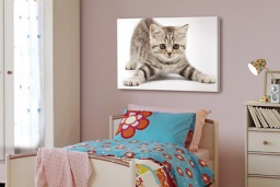 Save 15% on Prints on Canvas - the perfect Christmas Gift!