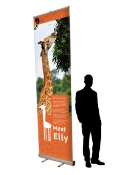 Need a Giant 3m pull-up Banner?
