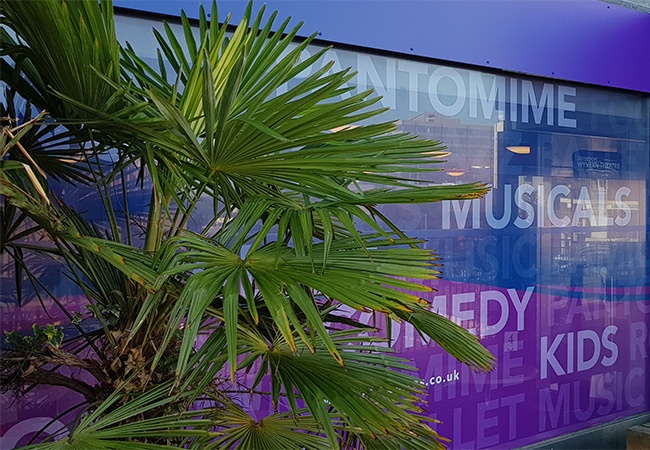 Window Vinyl Graphics