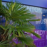 Window Vinyl Graphics