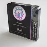 Acrylic Award Trophies