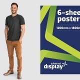 6-sheet Posters