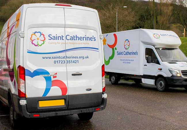 LARGE Van Graphics