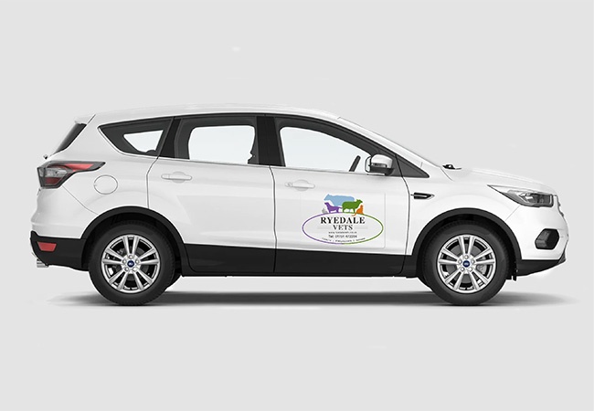 Car Signage (Removable)