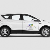 Car Signage (Removable)