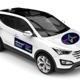 Car Signage (Removable)