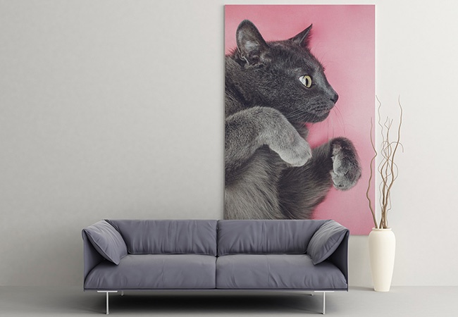 Prints on Canvas