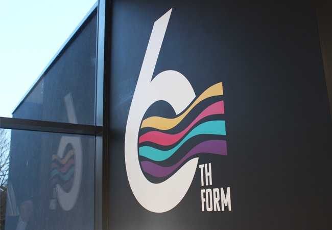 Wall Vinyl