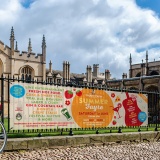 8 x 3 ft Mesh Banners