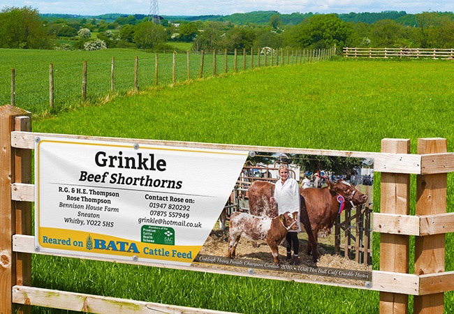 6 x 2 ft Vinyl Banners