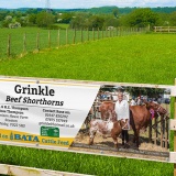 6 x 2 ft Vinyl Banners